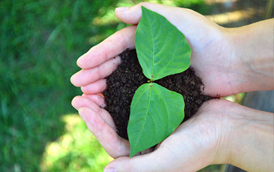 JDB����(����)����IOS/��׿��/�ֻ���APP����